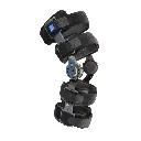 POM-R2.webp
